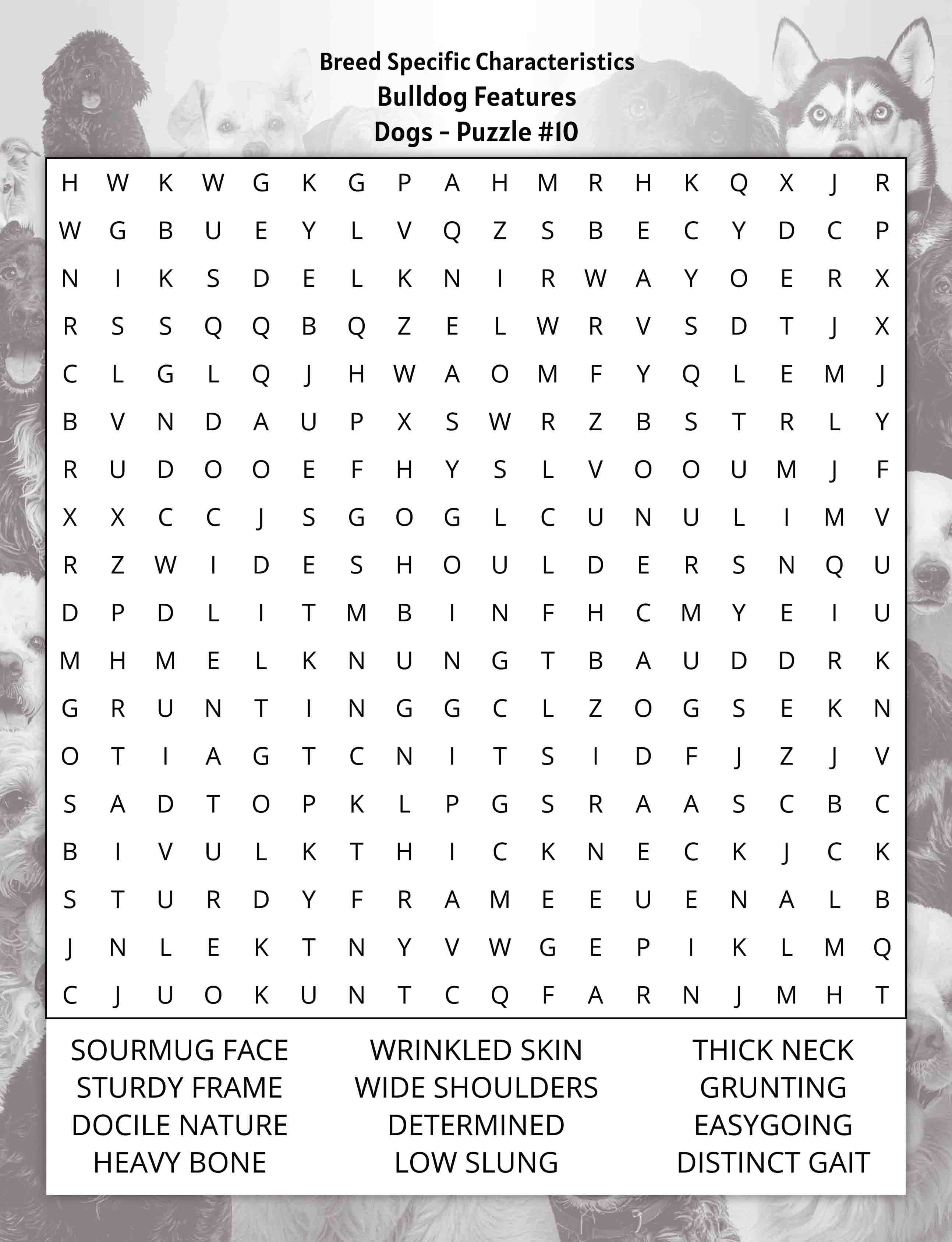 aboutfive large print dogs word search puzzle breed specific characteristics bulldog features