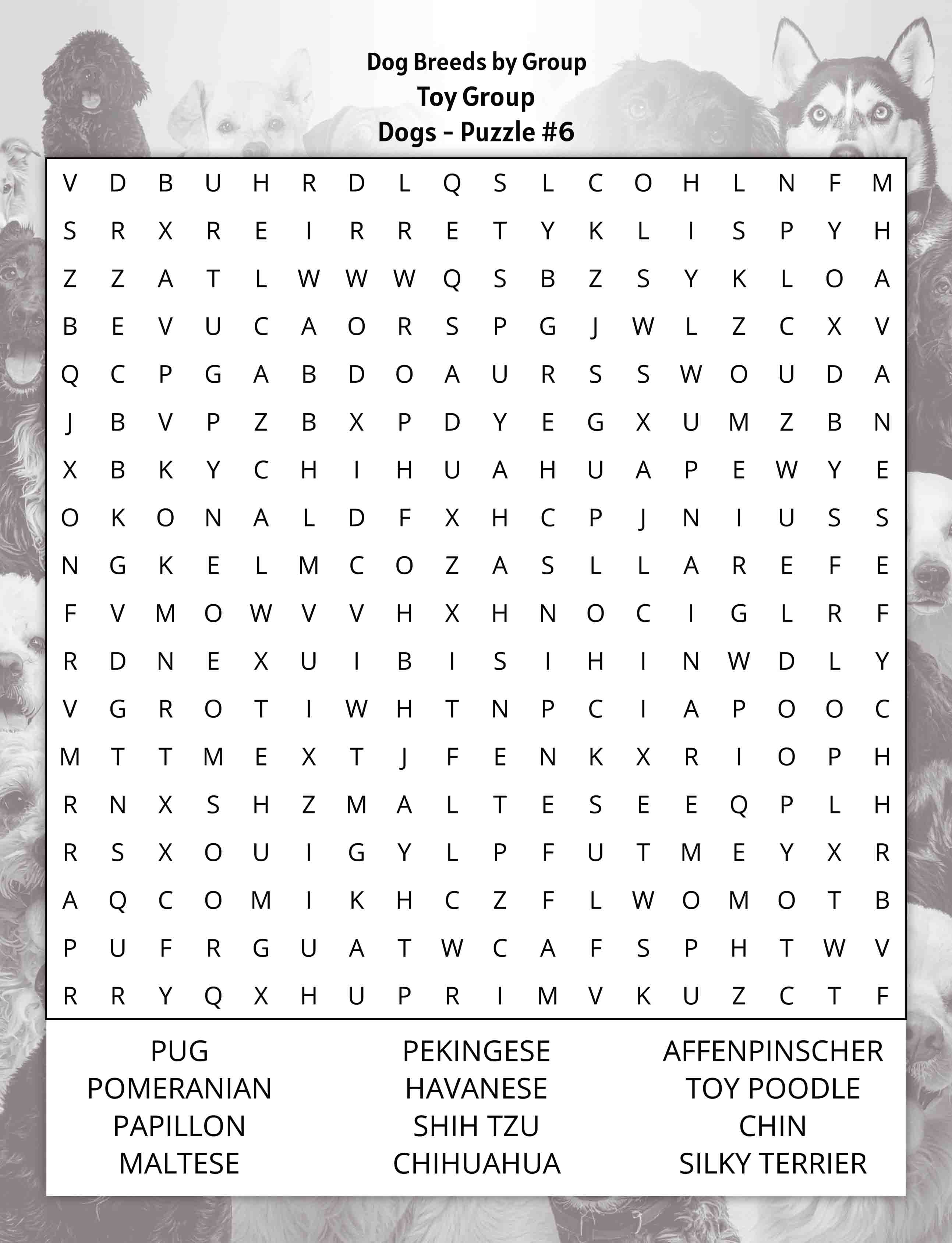 about five large print dogs word search puzzle dog breeds toy group