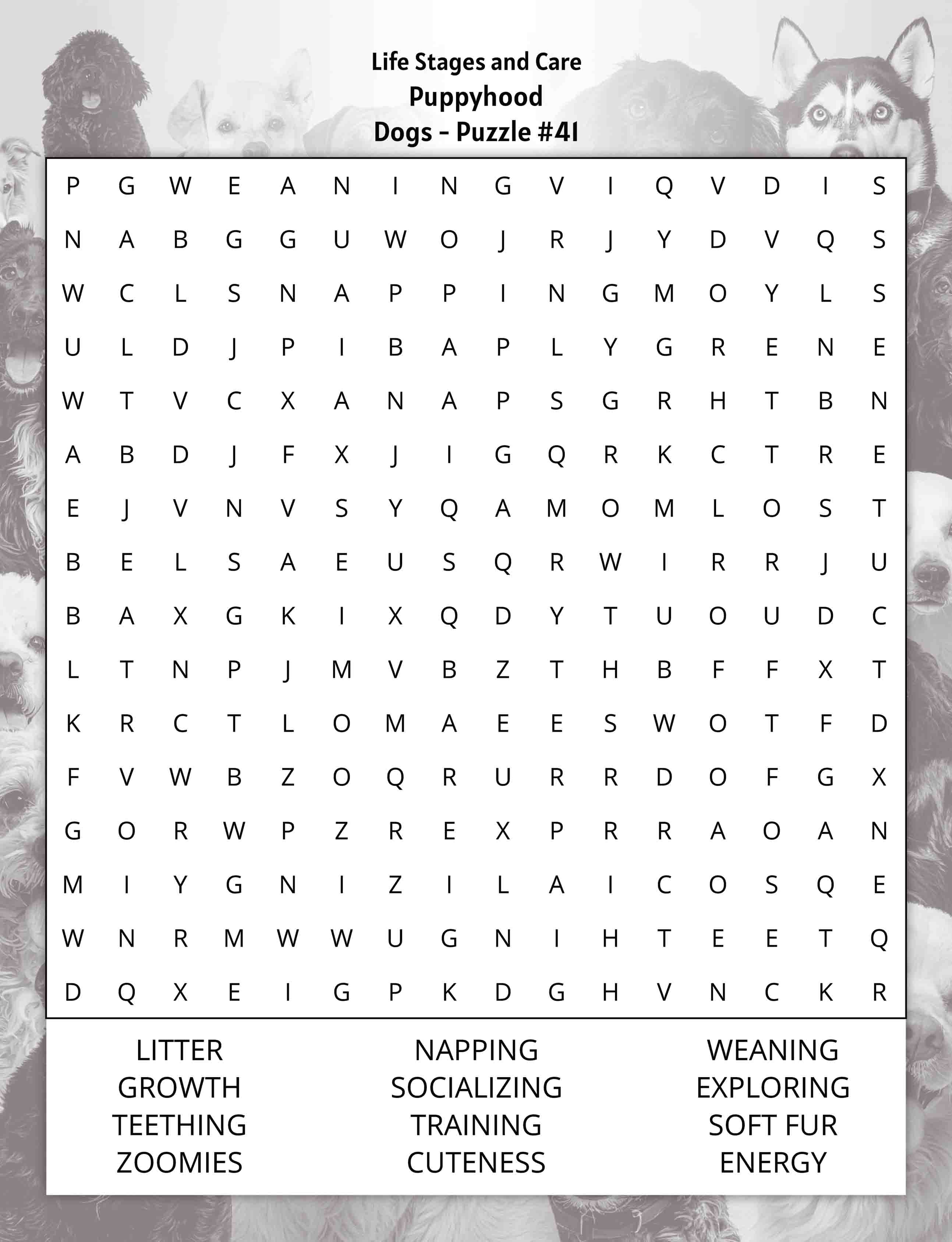 aboutfive large print dogs word search puzzle life stages puppyhood
