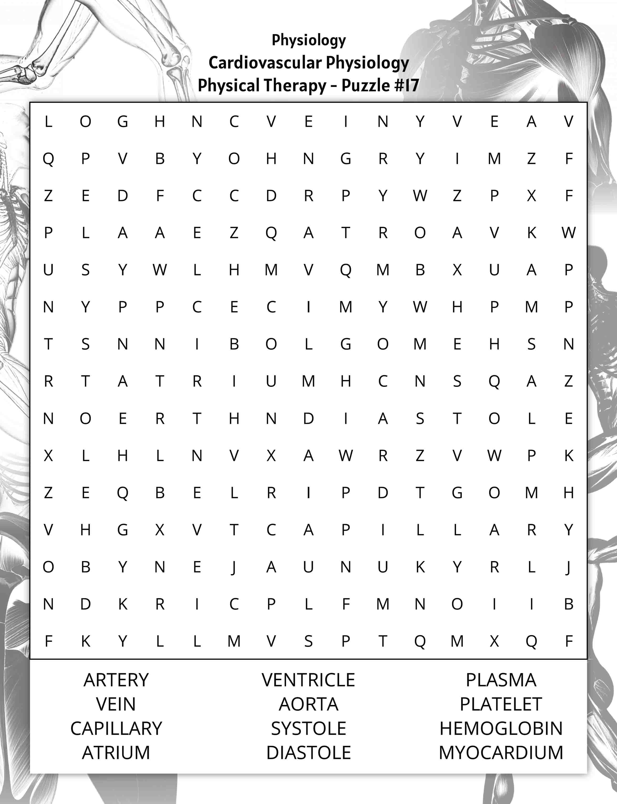 about five large print physical therapy word search puzzle physiology cardiovascular physiology