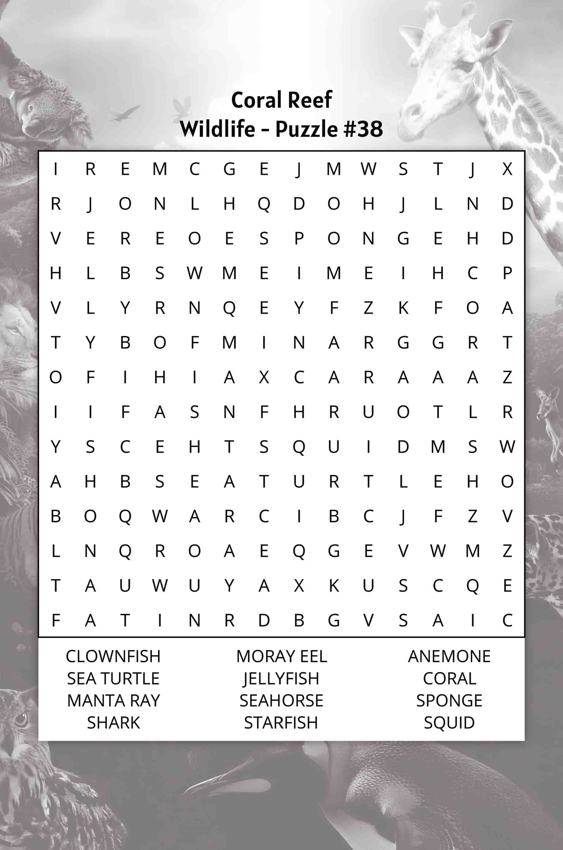 about five wildlife word search puzzle coral reef