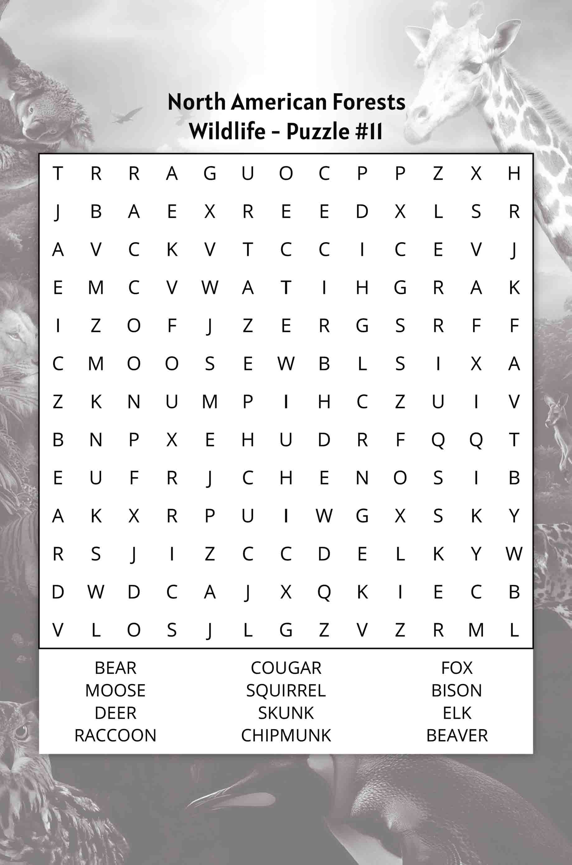 about five wildlife word search puzzle north american forests