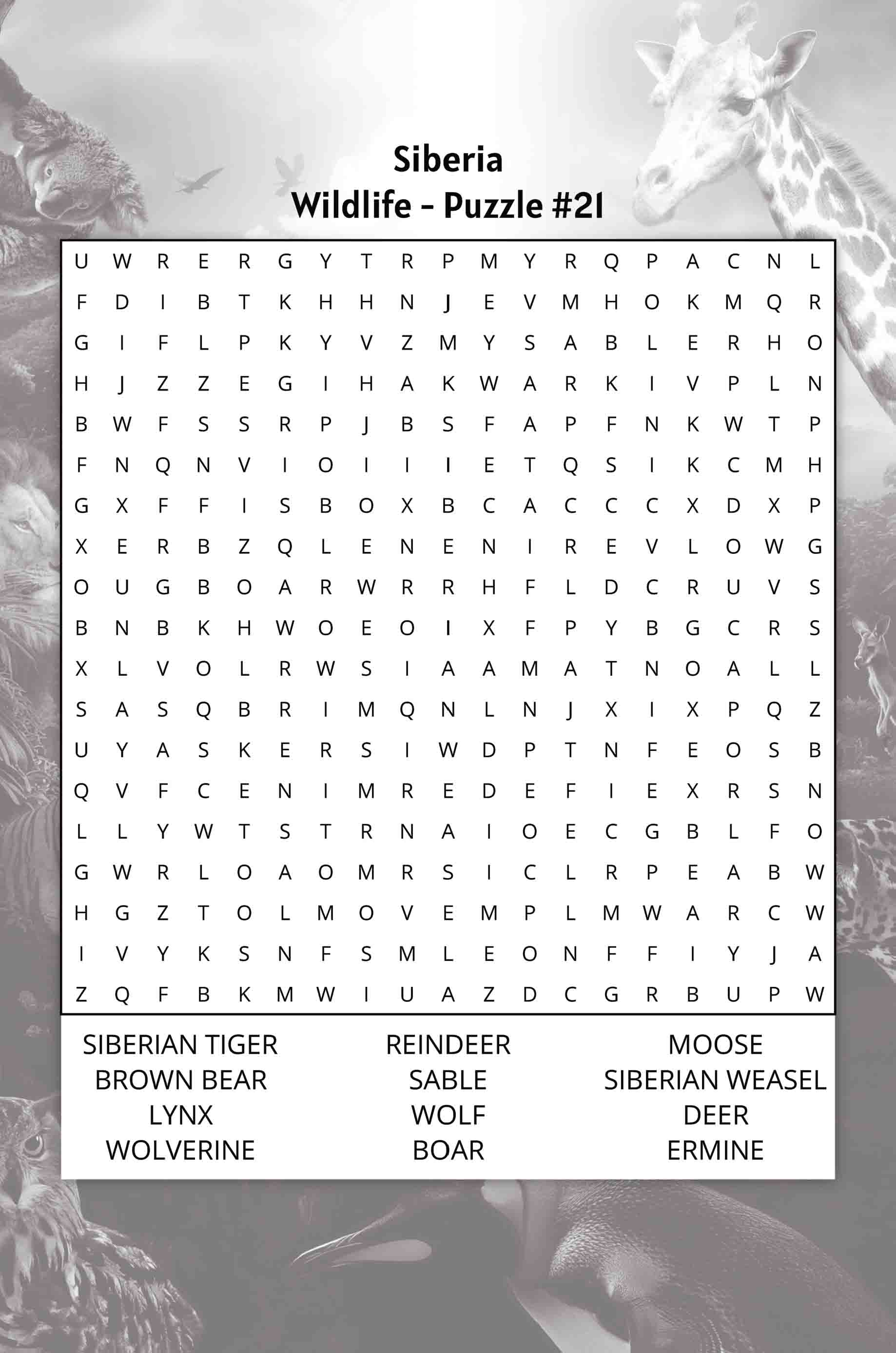 about five groundhog day word search puzzle siberia