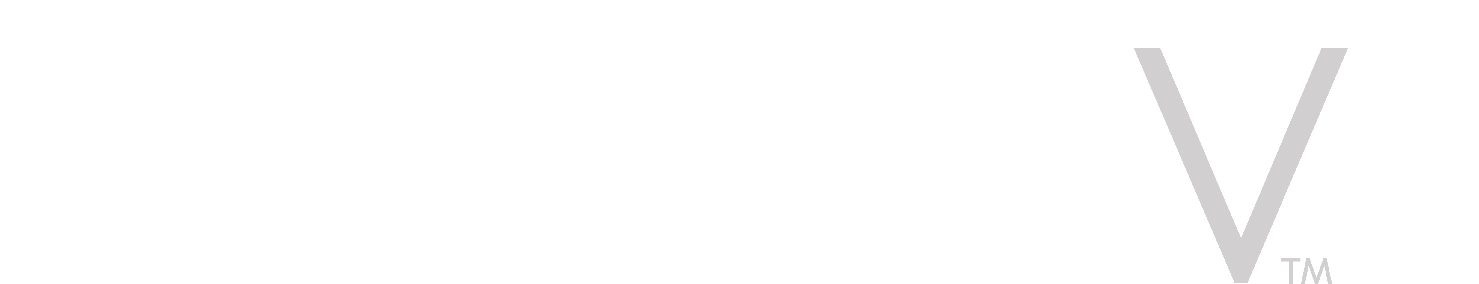 About Five wordmark